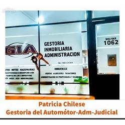 Gestoria Integral Chilese Patricia