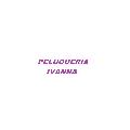 PELUQUERIA IVANNA