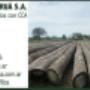 Forestalyerua.com.ar