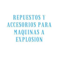 REPUESTOS Y ACCESORIOS PARA MAQUINAS A EXPLOSION
