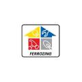 FERROZING