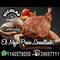 GONZALEZ NICOLAS CATERING