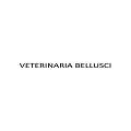 VETERINARIA BELLUSCI