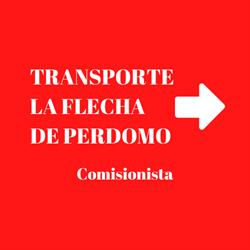 TRANSPORTE LA FLECHA DE PERDOMO - COMISIONISTA