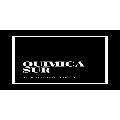 QUIMICA SUR