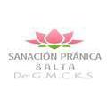 SANACION PRANICA SALTA