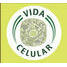 VIDA CELULAR