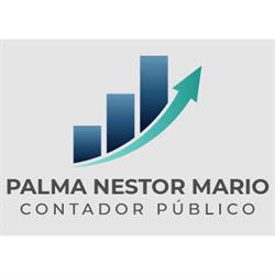 Palma Néstor Mario - Contador Público