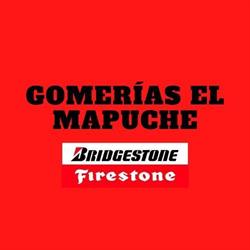 Gomería El Mapuche