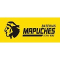 Taller Mecanico y Servicios  Mapuches