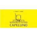 Desarmadero de Tractores Capellino