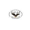CENTRO DE CAPACITACIÓN ARGENTINO PROFESIONAL CECAP