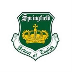 Instituto Springfield