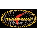 RESINARTE-ARTE EN RESINA