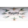 RAYÜN - TERAPIAS