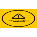 Seguridad E Higiene Empresarial