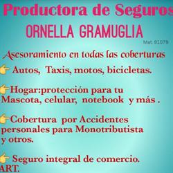 PRODUCTORA DE SEGUROS- ORNELLA GRAMUGLIA