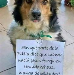 VETERINARIA LA CUCHA-CLINICA-CIRUGIA-ENVIOS