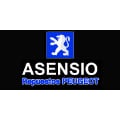 Asensio Repuestos Peugeot - Citroen