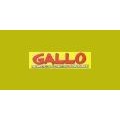 GALLO NEUMATICOS