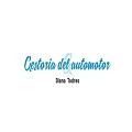 GESTORIA Y SOLUCIONES DEL AUTOMOTOR  DIANA TODRES