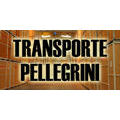 FLETES Y MUDANZAS PELLEGRINI