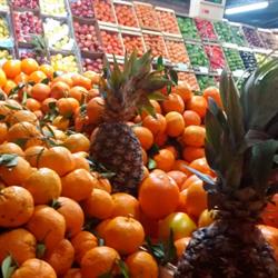 Fruteria y Verduleria los Conejos 1 y 2
