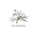 ELITIER