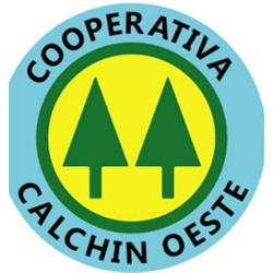 COOPERATIVA DE PROVISION DE ELECTRICIDAD CALCHIN OESTE