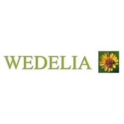 Wedelia