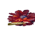 AMAPOLA