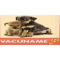 Veterinaria Giraudo