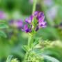 # 1