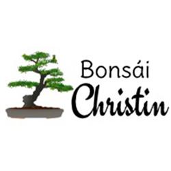 Bonsái Christin