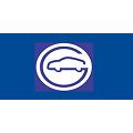 Goya Automotores