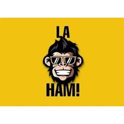 La Casa de Ham