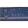 Espacio Babis