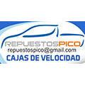 Repuestos Pico