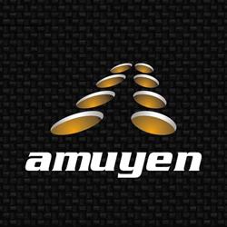 Amuyen Rectificaciones Sa