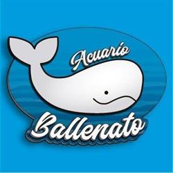 Acuario Ballenato