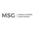 Msg Sa- Consultores Empresas