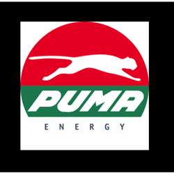 Estacion de Servicio Puma