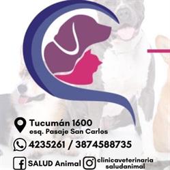 Salud Animal - Dra. Valeria Buttazzoni - Mp 447