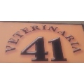 VETERINARIA 41- EQUINOS-DR. HUGO PEREZ