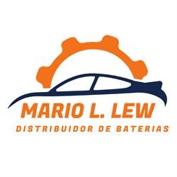Mario L Lew