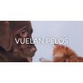 Vuelan Pelos