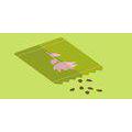 Instituto de Ingles  Sowing
