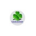 Claudia Brandan - Productora y Asesora de Seguros - Mat 71286