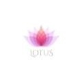 Lotus Cremas