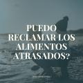 DEMANDA ALIMENTOS. ABOGADOS DE FAMILIA